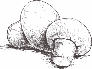 button-mushroom-bg-01